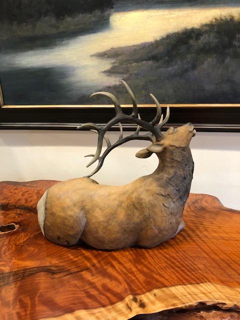 Elk Itch