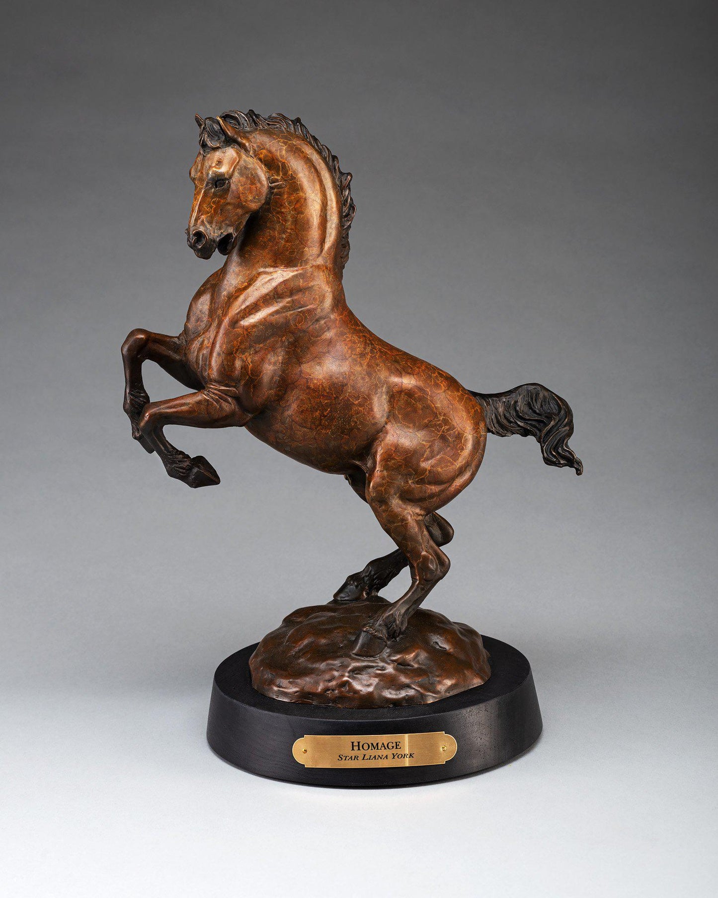 Homage (small)-Sculpture-Star Liana York-Sorrel Sky Gallery