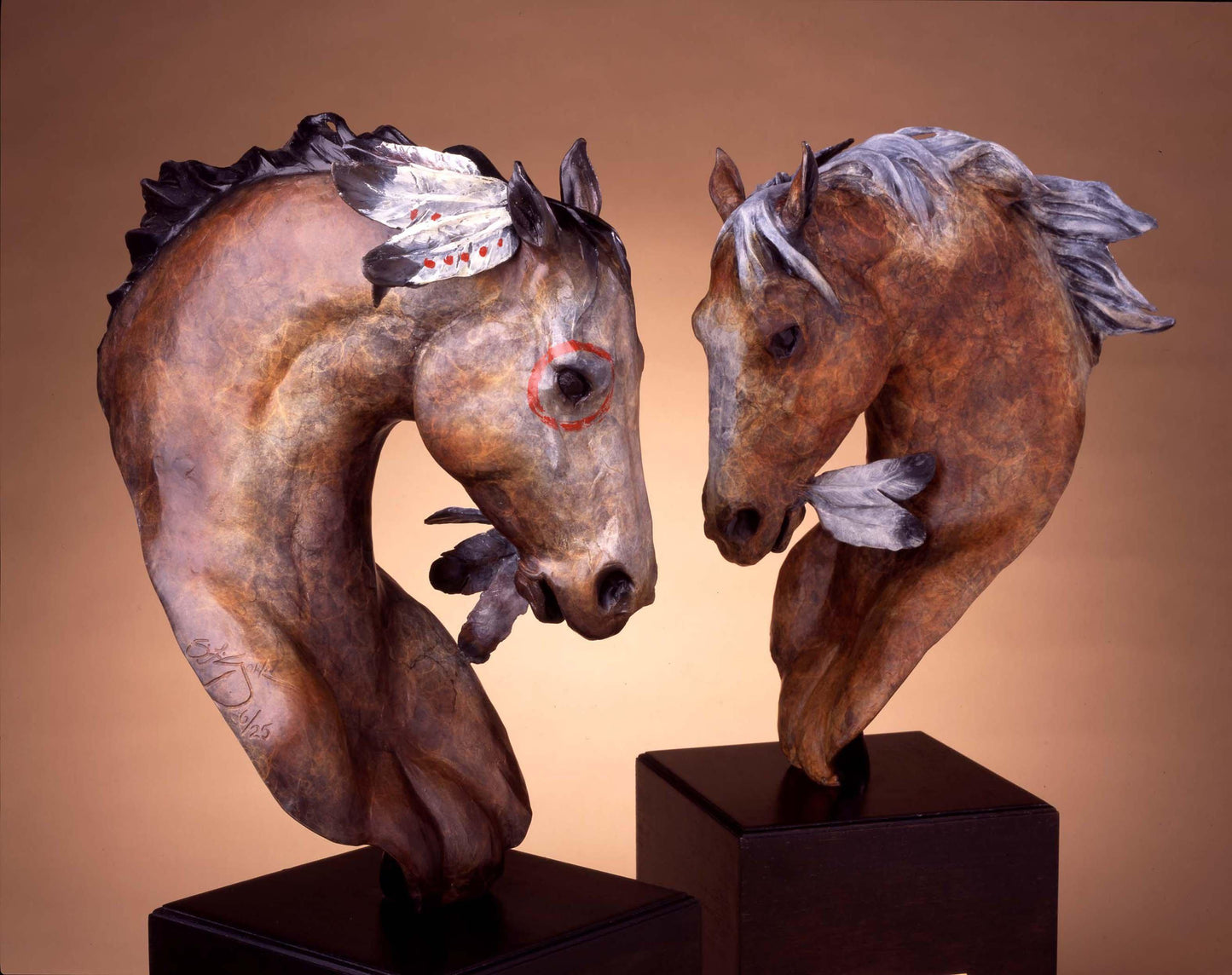 Medicine Horse