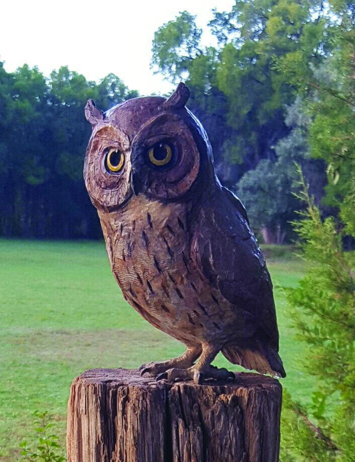 Star Liana York-Owlette-Sorrel Sky Gallery-Sculpture