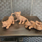 Sleepyhead - Mountain Lion Cub Precast-Sculpture-Star Liana York-Sorrel Sky Gallery