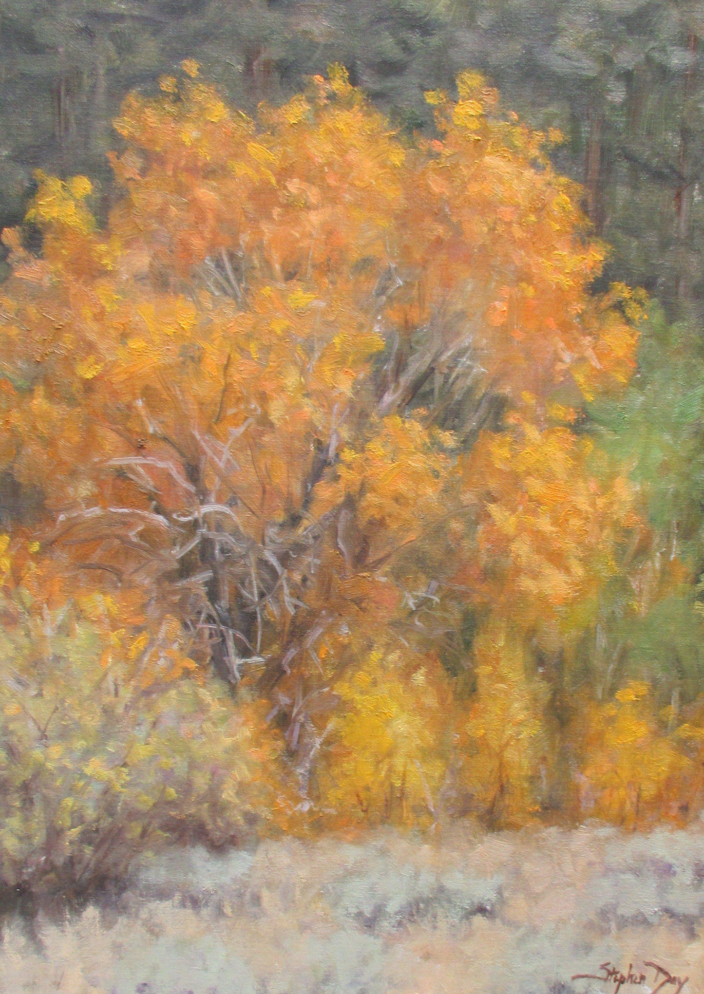 Canyon Cottonwood-Painting-Stephen Day-Sorrel Sky Gallery