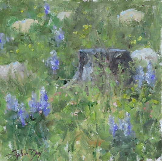 Mountain Meadow Spring-Painting-Stephen Day-Sorrel Sky Gallery