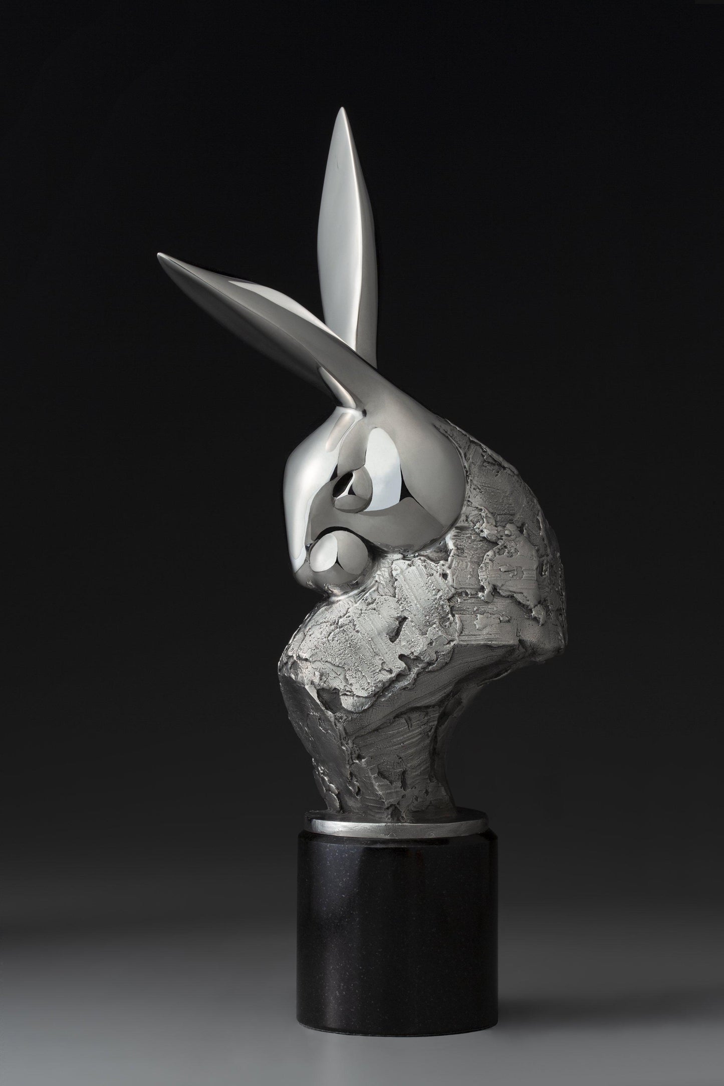 Rabbit Radar