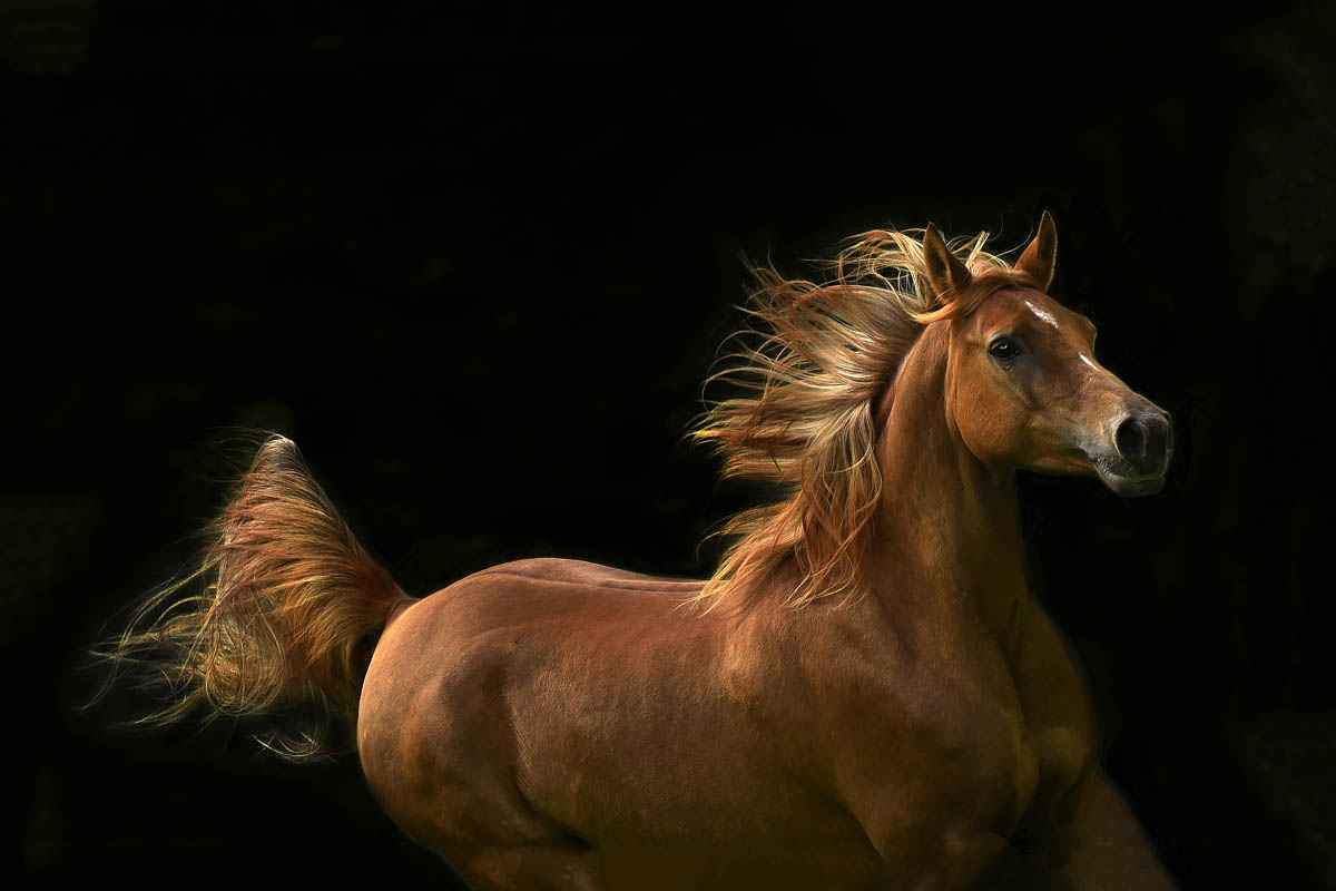Ablaze-Photographic Print-Tony Stromberg-Sorrel Sky Gallery