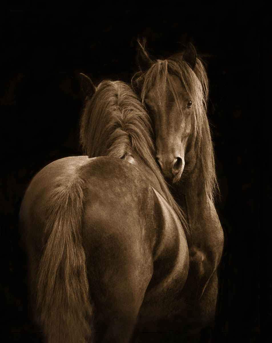 Intimacy-Photographic Print-Tony Stromberg-Sorrel Sky Gallery