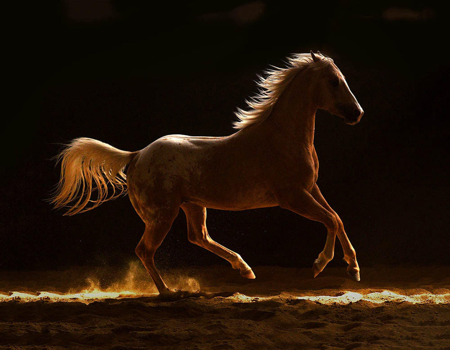 Luminous-Photographic Print-Tony Stromberg-Sorrel Sky Gallery
