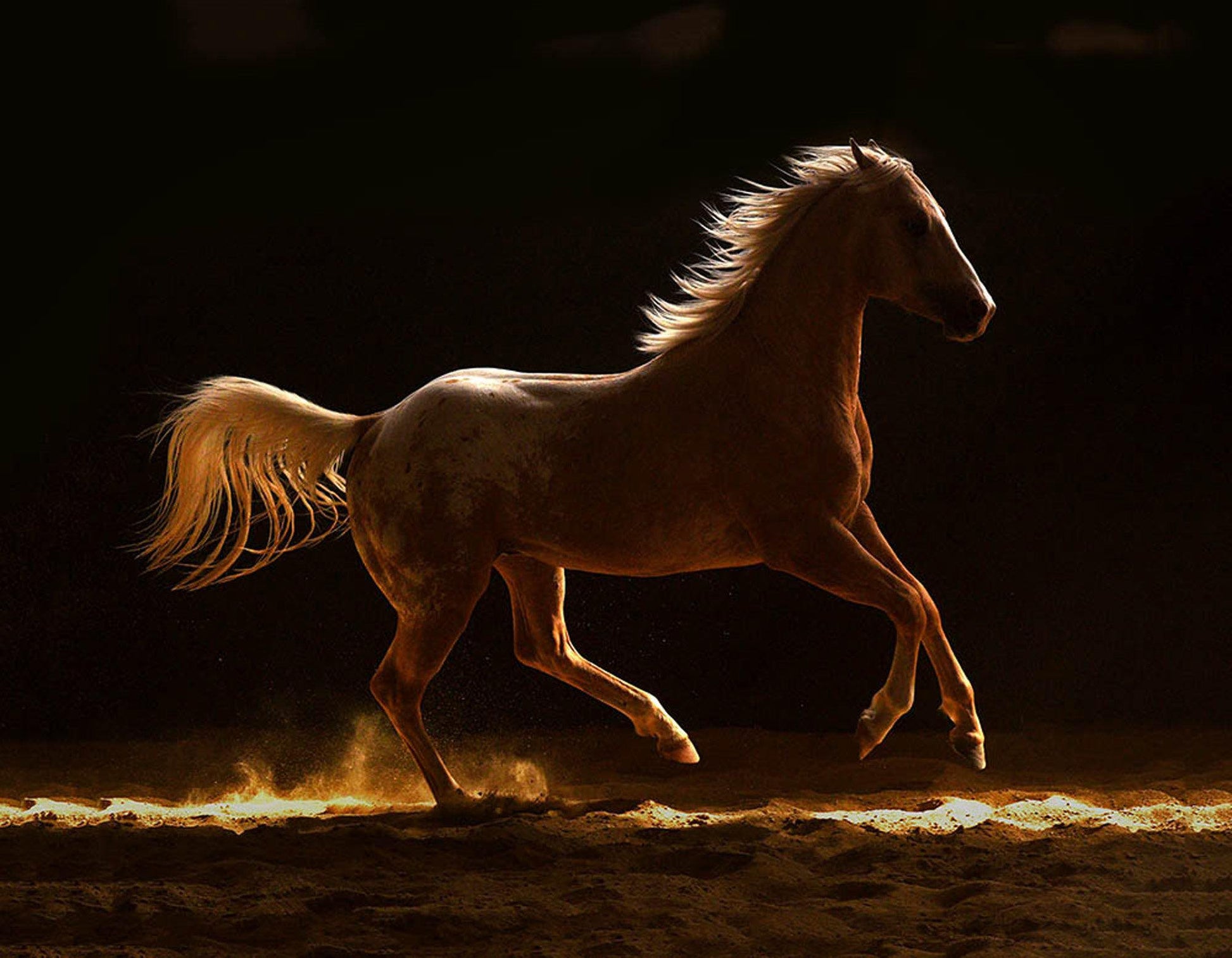 Luminous-Photographic Print-Tony Stromberg-Sorrel Sky Gallery
