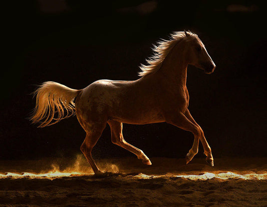 Luminous-Photographic Print-Tony Stromberg-Sorrel Sky Gallery