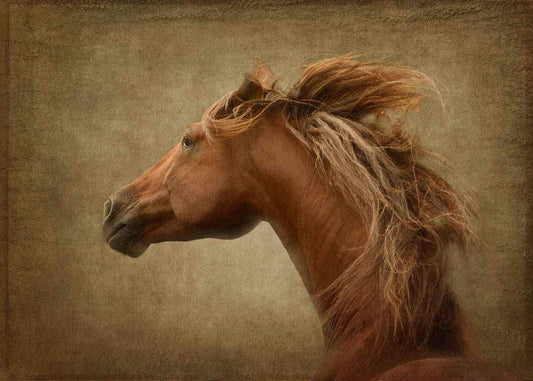 Necessario - Framed-Photographic Print-Tony Stromberg-Sorrel Sky Gallery