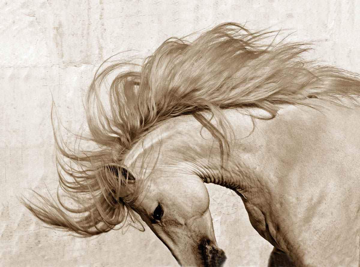 Soul of Portugal-Photographic Print-Tony Stromberg-Sorrel Sky Gallery