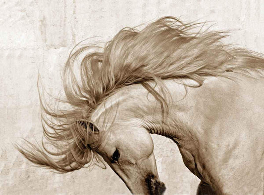 Soul of Portugal-Photographic Print-Tony Stromberg-Sorrel Sky Gallery