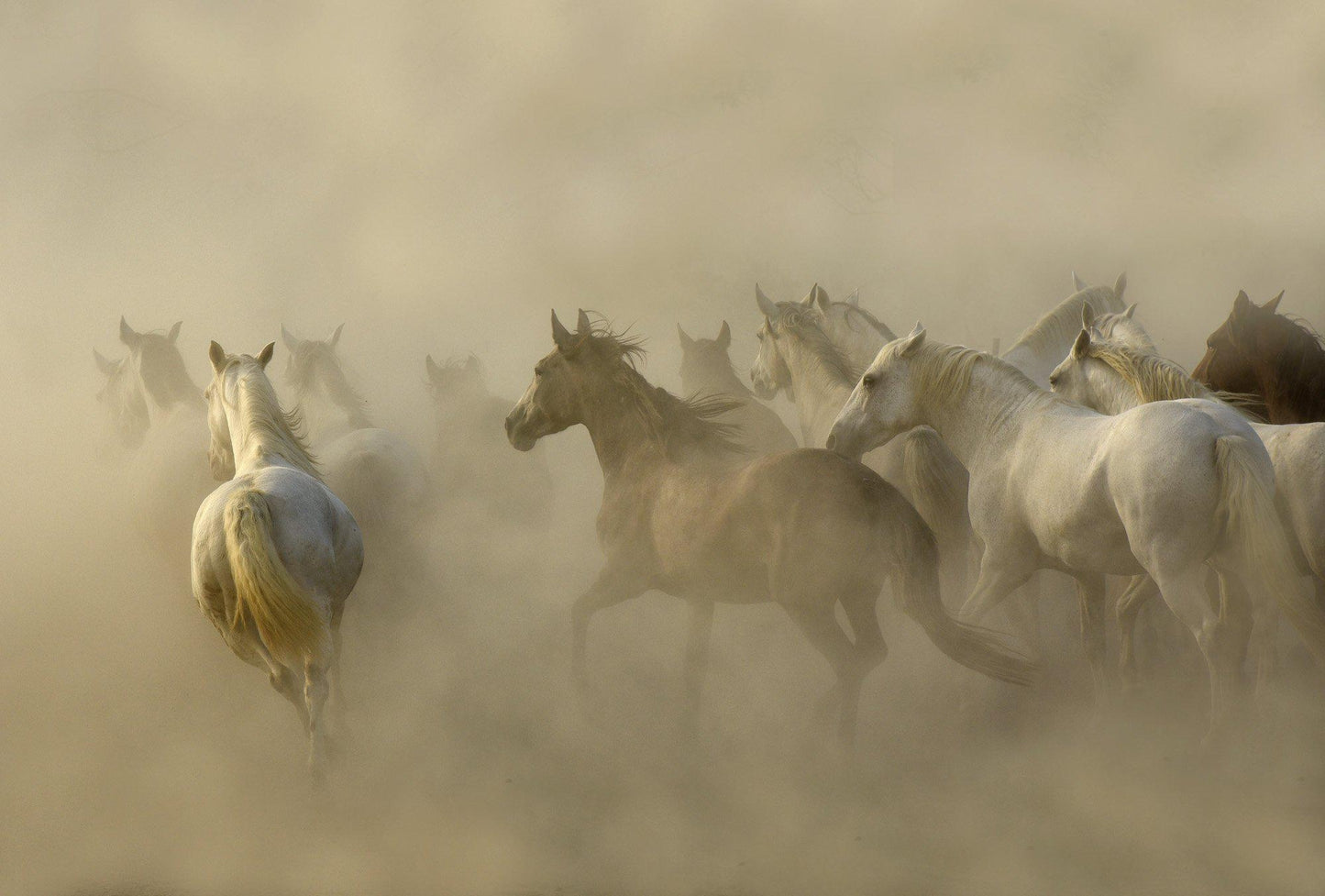 Storm-Photographic Print-Tony Stromberg-Sorrel Sky Gallery