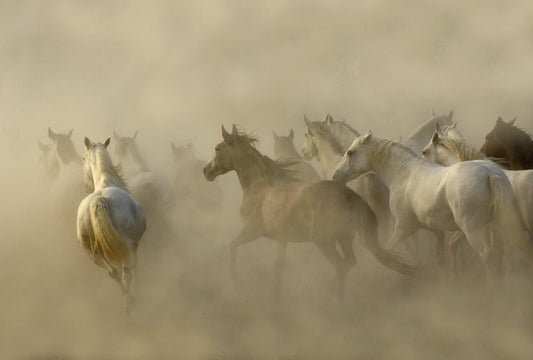 Storm-Photographic Print-Tony Stromberg-Sorrel Sky Gallery