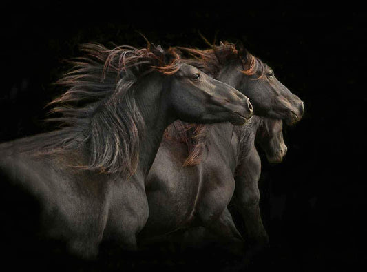 Three Brothers-Photographic Print-Tony Stromberg-Sorrel Sky Gallery