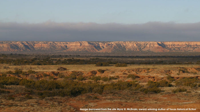 Billy the Kid. Thom Ross.