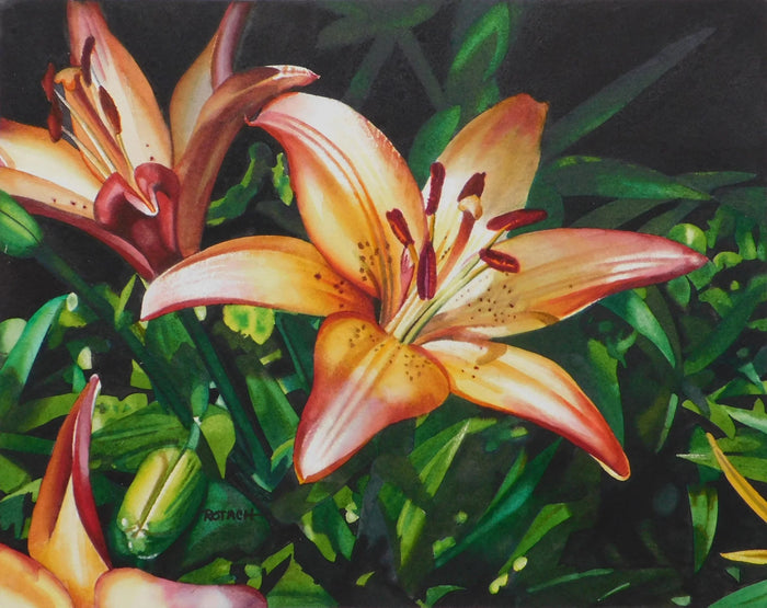 Sculpture Garden. Star York. Raven Sculptures.