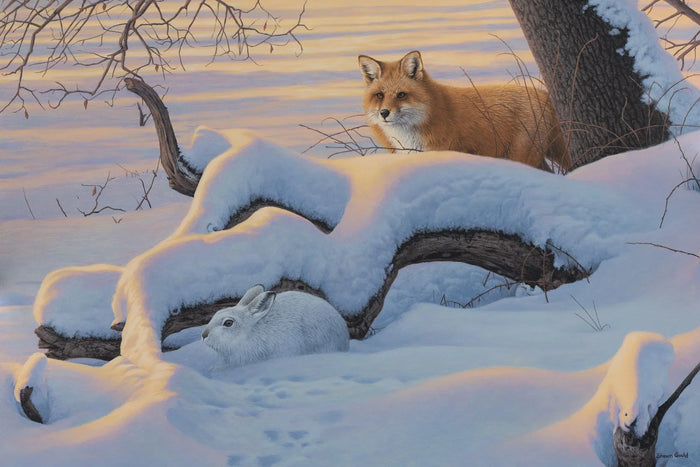 Shawn Gould. Sorrel Sky Gallery artist. Online Art Gallery.