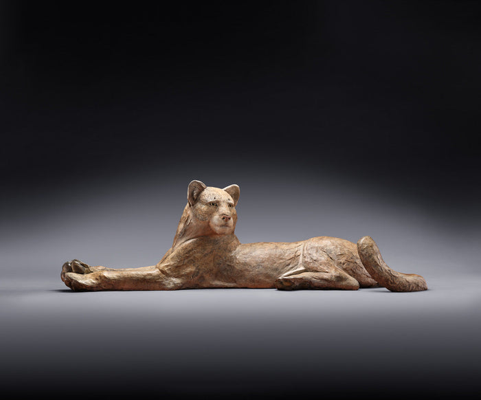 Bronze Sculpture of a mountain lion. Wildlife bronze sculpture. tim cherry. star liana york.