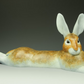 Hare Extension