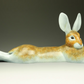 Hare Extension