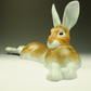 Hare Extension