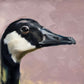 Canadian Goose-Painting-Aimee Hoover-Sorrel Sky Gallery