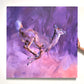 Elsewhere-Painting-Aimee Hoover-Sorrel Sky Gallery