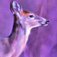 Elsewhere-Painting-Aimee Hoover-Sorrel Sky Gallery