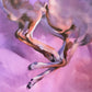 Elsewhere-Painting-Aimee Hoover-Sorrel Sky Gallery