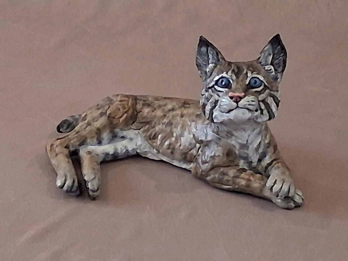 Bobcat Baby III