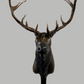 Elk Coat Rack-Sculpture-Bryce Pettit-Sorrel Sky Gallery