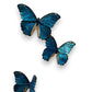 Large Butterflies - Set of 12-Sculpture-Bryce Pettit-Sorrel Sky Gallery
