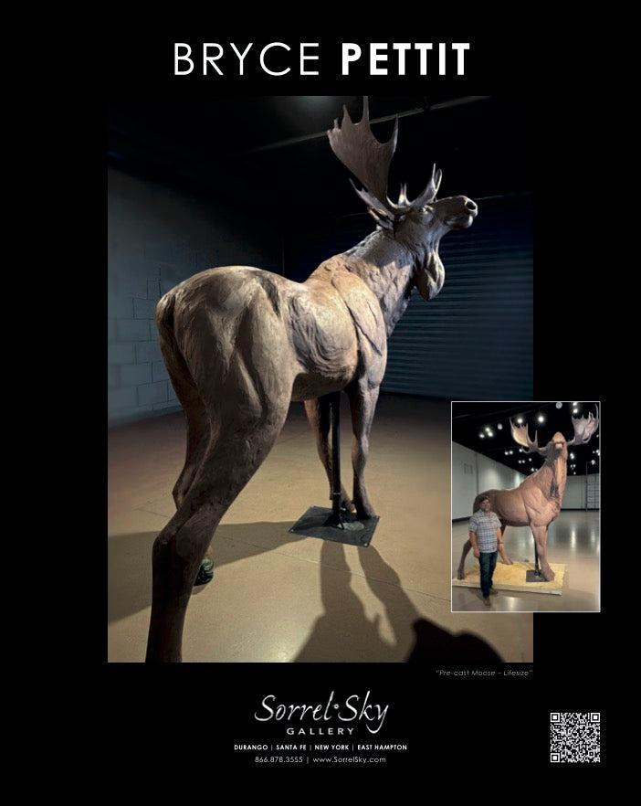 Lifesize Moose Bronze Sculpture | Bryce Pettit | Sorrel Sky Gallery