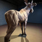 Precast Moose ~ Lifesize-Sculpture-Bryce Pettit-Sorrel Sky Gallery