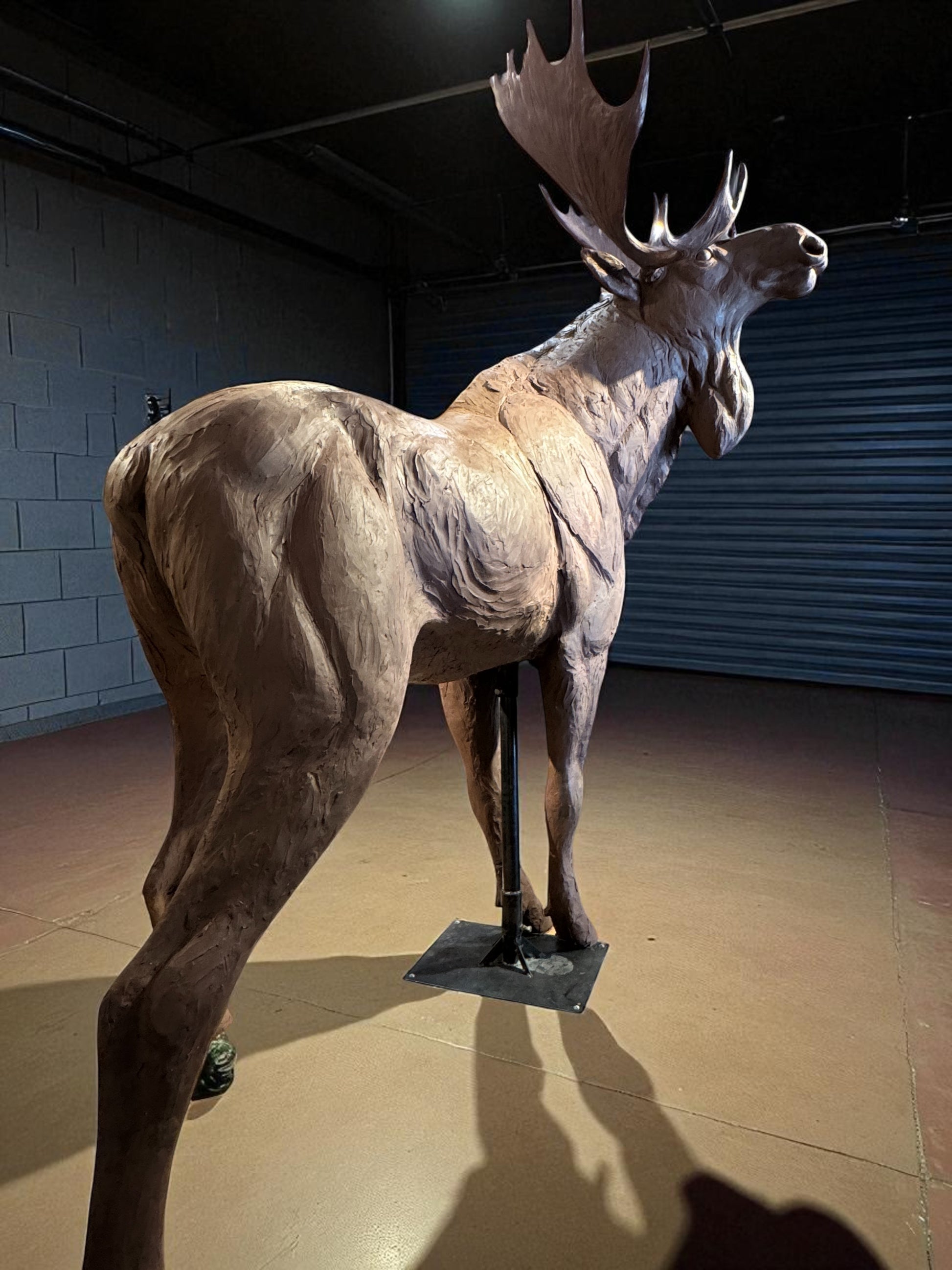 Precast Moose ~ Lifesize-Sculpture-Bryce Pettit-Sorrel Sky Gallery