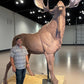 Precast Moose ~ Lifesize-Sculpture-Bryce Pettit-Sorrel Sky Gallery