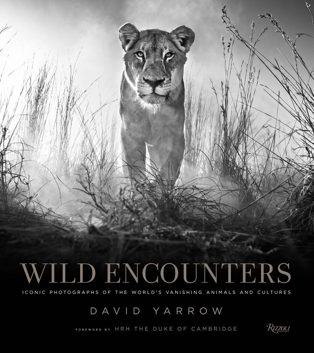 Wild Encounters by David Yarrow-Book-David Yarrow-Sorrel Sky Gallery