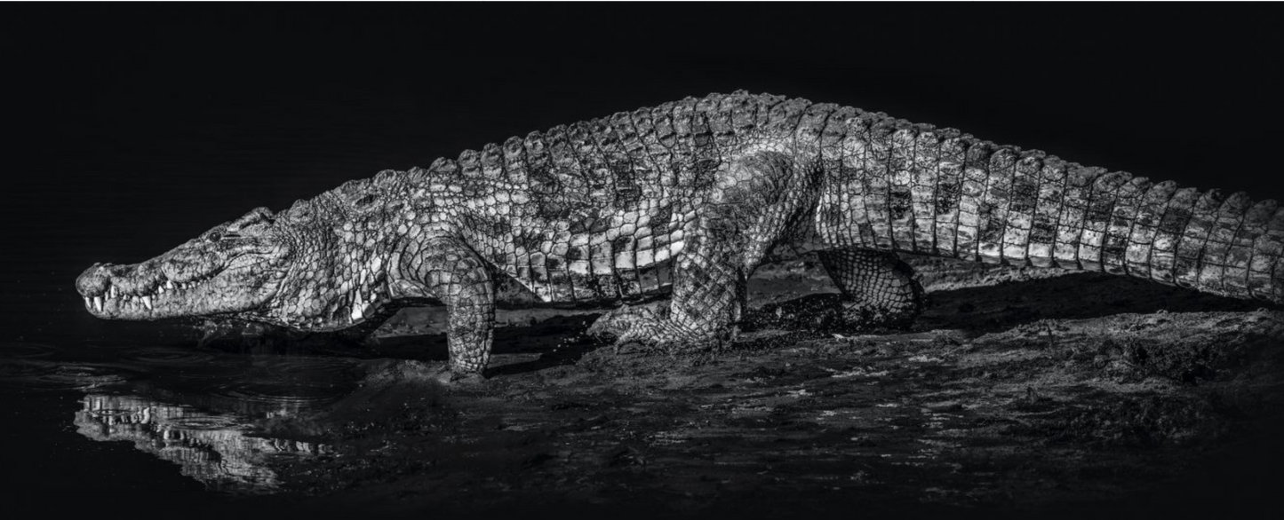 10,000 BC-Photographic Print-David Yarrow-Sorrel Sky Gallery