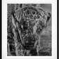 25 DEGREES BELOW-Photographic Print-David Yarrow-Sorrel Sky Gallery