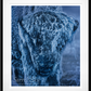 25 DEGREES BELOW - Colour-Photographic Print-David Yarrow-Sorrel Sky Gallery