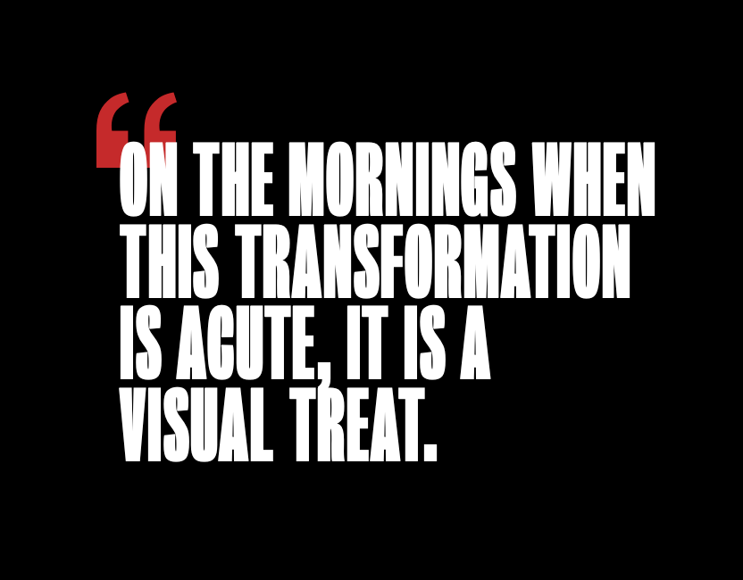 25 DEGREES BELOW - Colour-Photographic Print-David Yarrow-Sorrel Sky Gallery