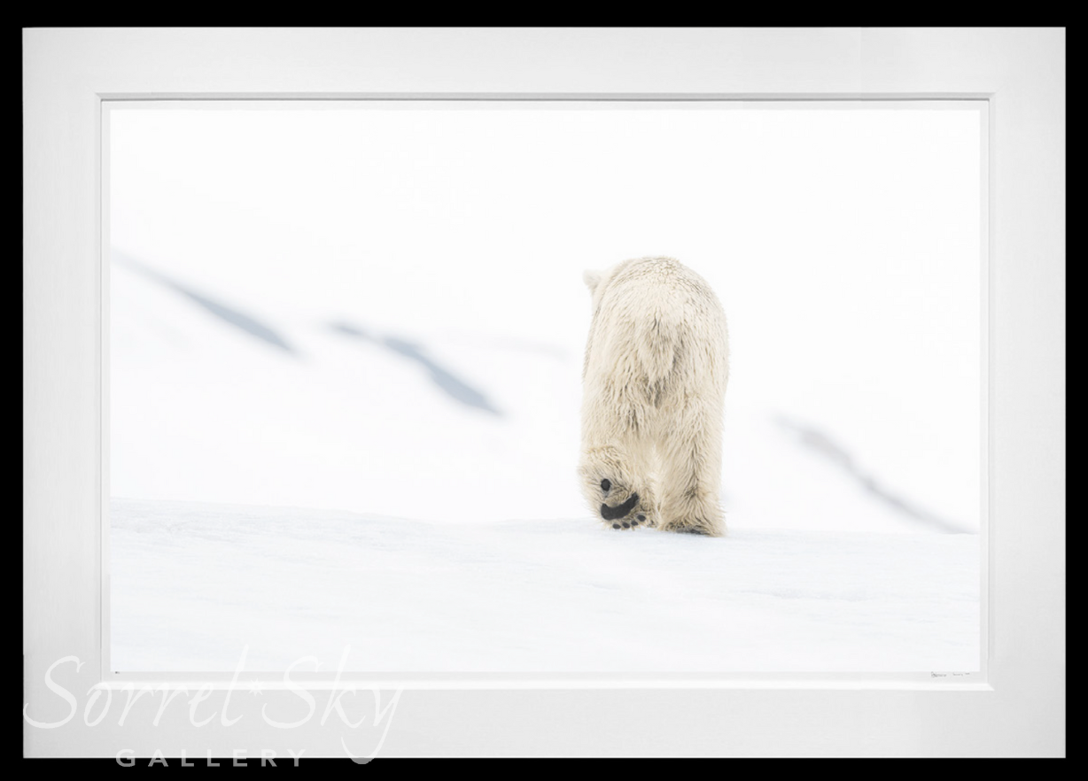 78 Degrees North (Colour)-Photographic Print-David Yarrow-Sorrel Sky Gallery