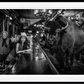 A BISON WALKS INTO A BAR…-Photographic Print-David Yarrow-Sorrel Sky Gallery