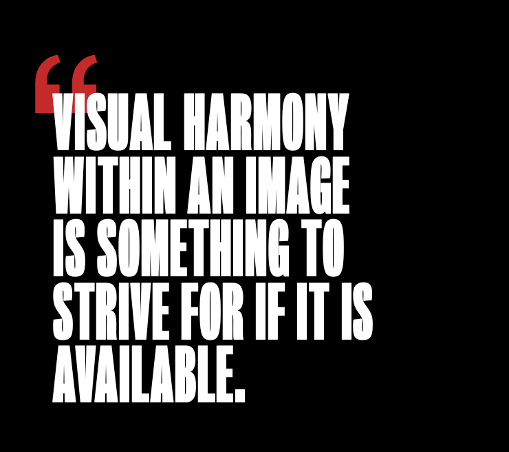 A WALK IN THE WOODS-Photographic Print-David Yarrow-Sorrel Sky Gallery