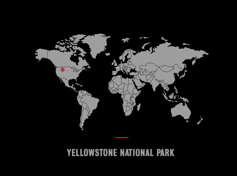 A WALK IN THE WOODS-Photographic Print-David Yarrow-Sorrel Sky Gallery