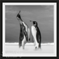 ALL YOU NEED IS LOVE-Photographic Print-David Yarrow-Sorrel Sky Gallery