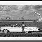 BADA BING-Photographic Print-David Yarrow-Sorrel Sky Gallery