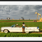 BADA BING (Colour)-Photographic Print-David Yarrow-Sorrel Sky Gallery