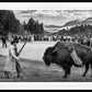 BISON DECHAMBEAU-Photographic Print-David Yarrow-Sorrel Sky Gallery